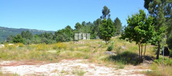 10300m² Land in Marco de Canaveses, Portugal No. 59606 15