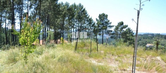 10300m² Land in Marco de Canaveses, Portugal No. 59606 17