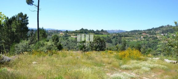 10300m² Land in Marco de Canaveses, Portugal No. 59606 5