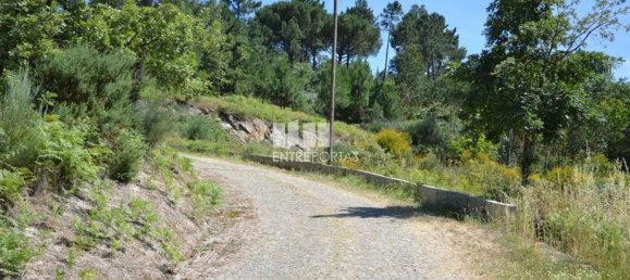 10300m² Land in Marco de Canaveses, Portugal No. 59606 22