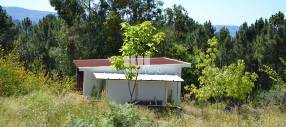 10300m² Land in Marco de Canaveses, Portugal No. 59606 8