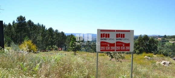 10300m² Land in Marco de Canaveses, Portugal No. 59606 2