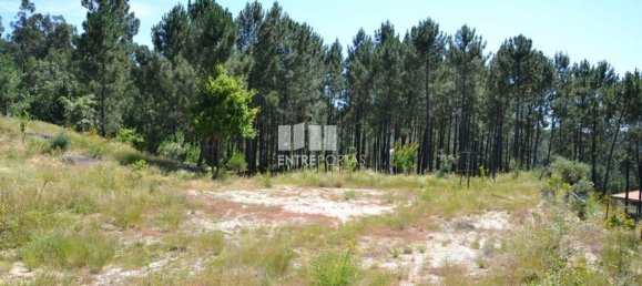 10300m² Land in Marco de Canaveses, Portugal No. 59606 18