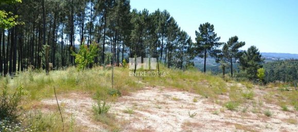 10300m² Land in Marco de Canaveses, Portugal No. 59606 11