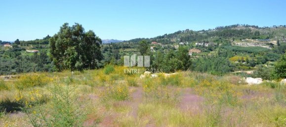 10300m² Land in Marco de Canaveses, Portugal No. 59606 9