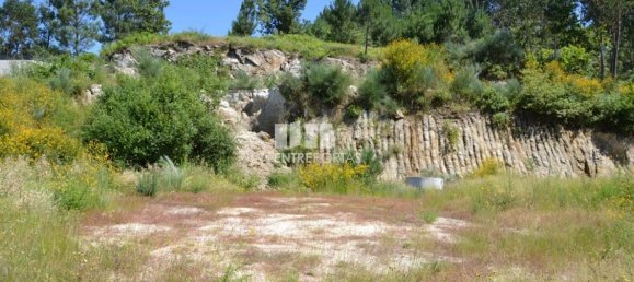 10300m² Land in Marco de Canaveses, Portugal No. 59606 6