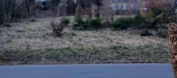 Grundstück in Hochsauerlandkreis, Germany, Nr. 218853 8