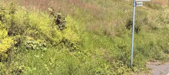 Grundstück in Hochsauerlandkreis, Germany, Nr. 218853 4