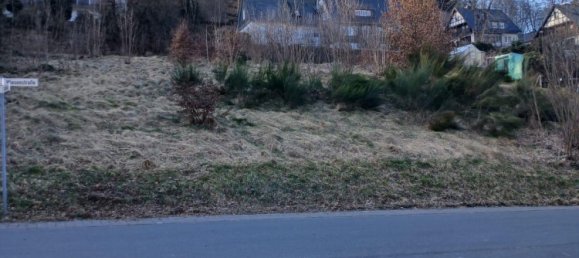 Grundstück in Hochsauerlandkreis, Germany, Nr. 218853 12