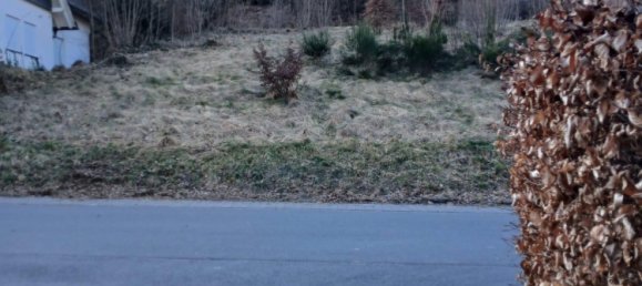 Grundstück in Hochsauerlandkreis, Germany, Nr. 218853 9