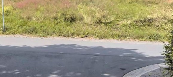 Grundstück in Hochsauerlandkreis, Germany, Nr. 218853 2