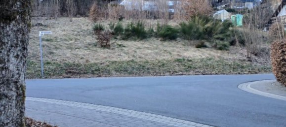 Grundstück in Hochsauerlandkreis, Germany, Nr. 218853 6