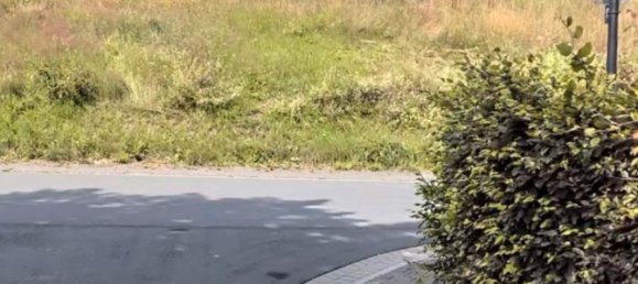 Grundstück in Hochsauerlandkreis, Germany, Nr. 218853 3