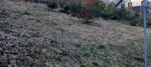 Grundstück in Hochsauerlandkreis, Germany, Nr. 218853 10