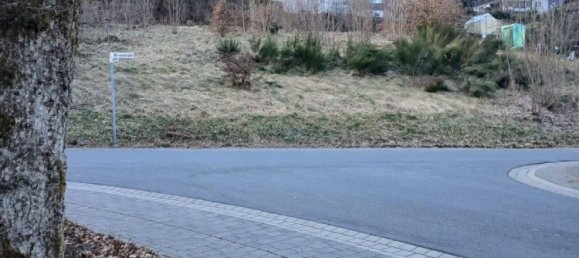 Grundstück in Hochsauerlandkreis, Germany, Nr. 218853 7