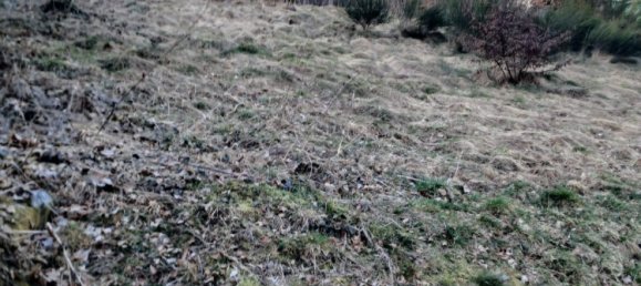 Grundstück in Hochsauerlandkreis, Germany, Nr. 218853 11