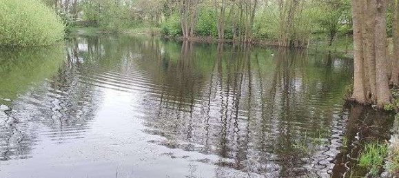 1 bedroom Apartment in Duchy of Lauenburg, Germany No. 230935 10