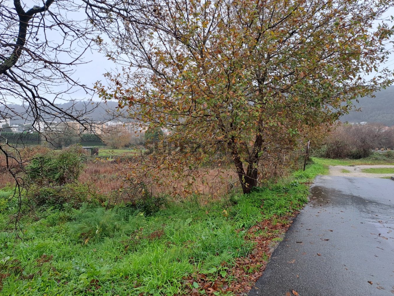  Land in Viana do Castelo, Portugal No. 346871