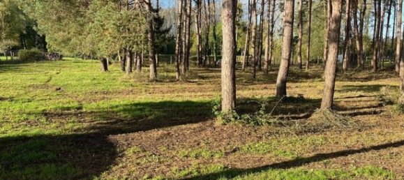 Villa de 8 dormitorios en Sarthe, France No. 311092 6