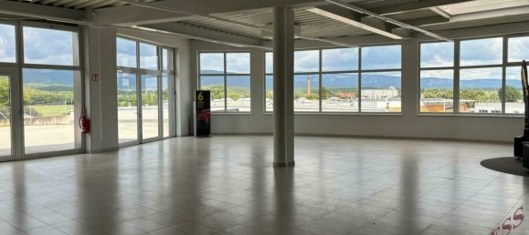 Imóvel comercial em Neunkirchen, Austria 4910 m² N.º 135189 10