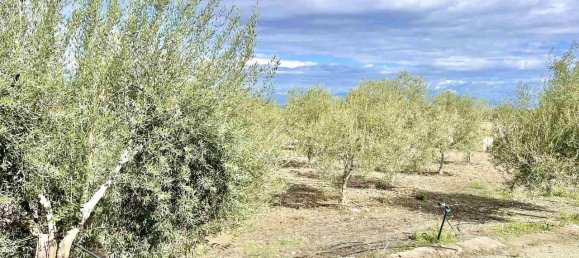 3-salle Terrain à Carlentini, Italy No. 156475 13