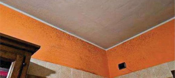 4 rooms House in Piombino Dese, Italy No. 187790 19