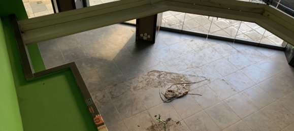 320m² Property in Thessaloniki, Greece No. 3419 3