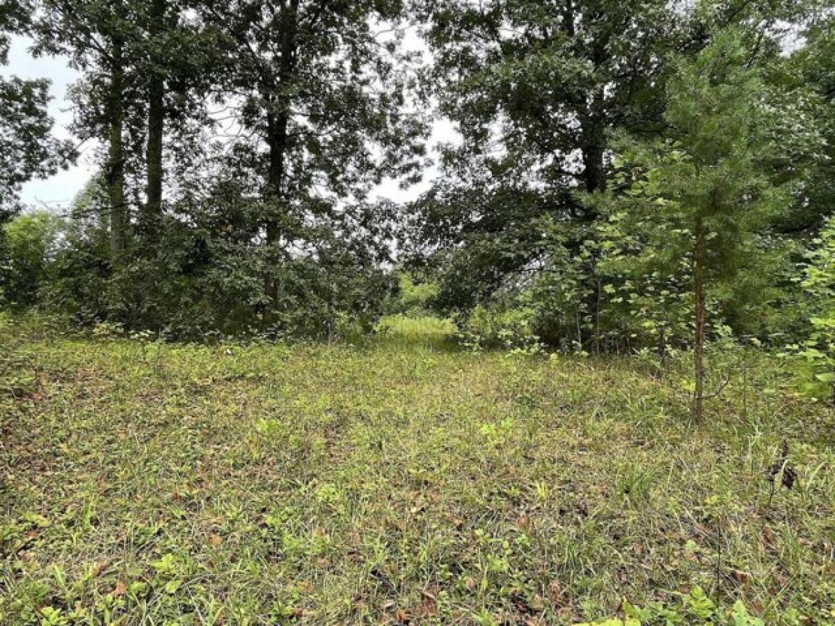  Land in Scottown, USA No. 486431