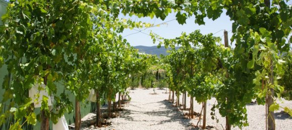 Вилла с 5 спальнями в Хондон де Лас Ньевес, Испания № 67471 43