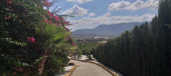 Вилла с 5 спальнями в Хондон де Лас Ньевес, Испания № 67471 48