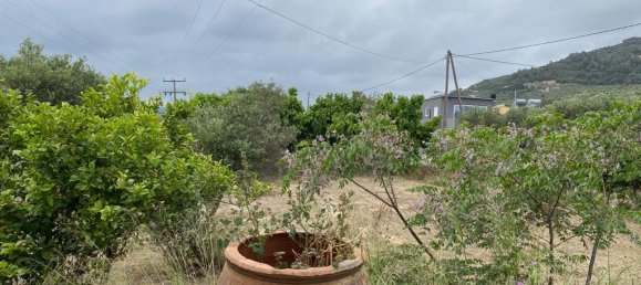 Imóvel comercial T3 em Platanias, Greece N.º 3159 14