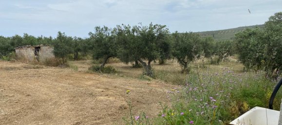 Imóvel comercial T3 em Platanias, Greece N.º 3159 12