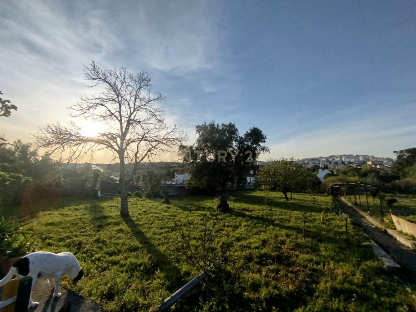 4 bedrooms House in Sintra, Portugal No. 342123