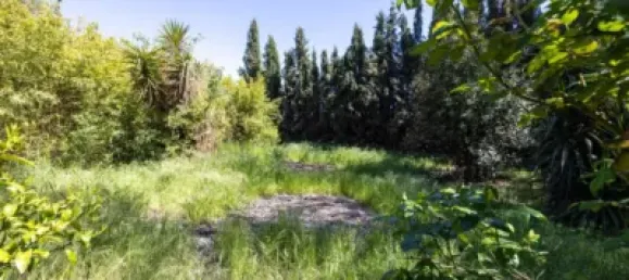 5 chambres Maison à Granada, Spain No. 174565 4