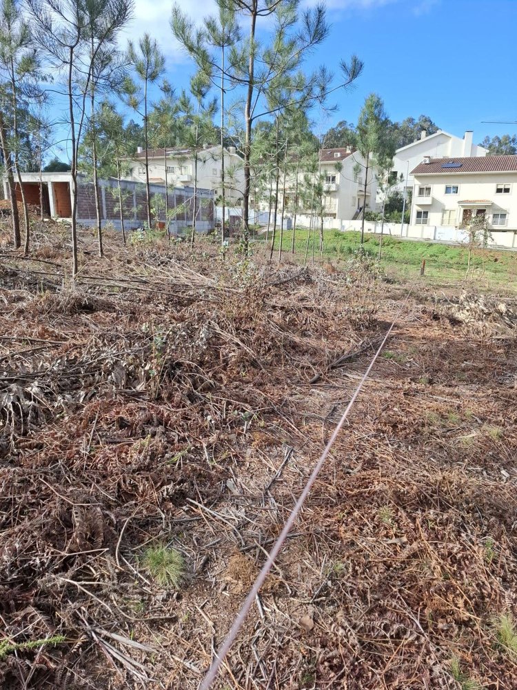  Land in Vila Nova de Gaia, Portugal No. 332307