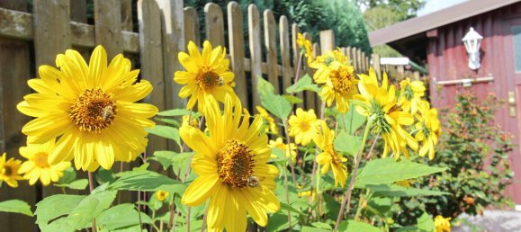 3-Zimmer Haus in Altona, Germany, Nr. 290120 11