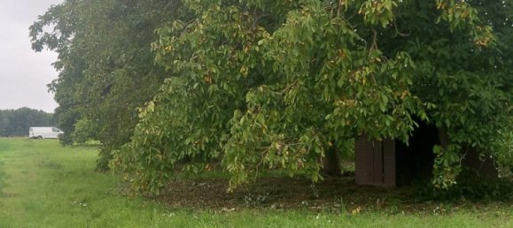 Terreno em Heilbronn, Germany N.º 357976 3