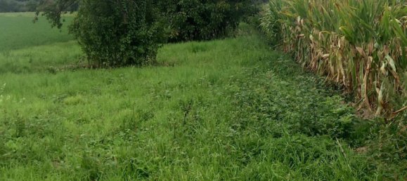 Terreno em Heilbronn, Germany N.º 357976 9