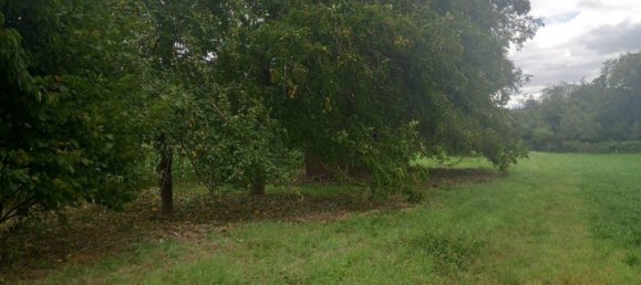 Terreno em Heilbronn, Germany N.º 357976 5