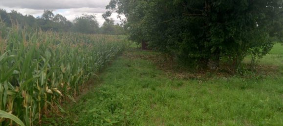 Terreno em Heilbronn, Germany N.º 357976 6