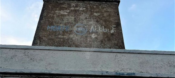 9 bedrooms House in Santiago do Cacem, Portugal No. 128605 3