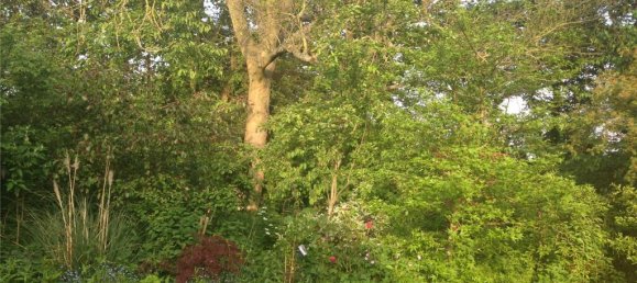 2 bedrooms House in Totteridge, United Kingdom No. 6702 11