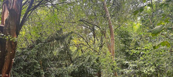  Land in Saarbrucken, Germany No. 263957 3