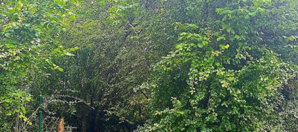  Land in Saarbrucken, Germany No. 263957 4