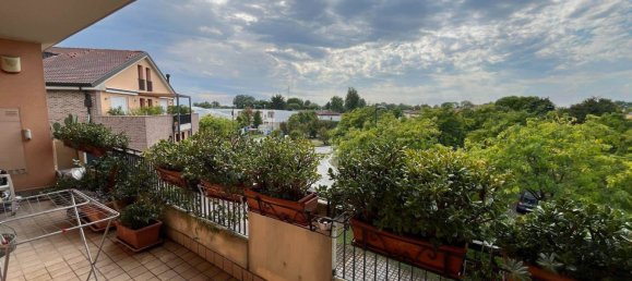 8 rooms Penthouse in Vigonza, Italy No. 269957 16