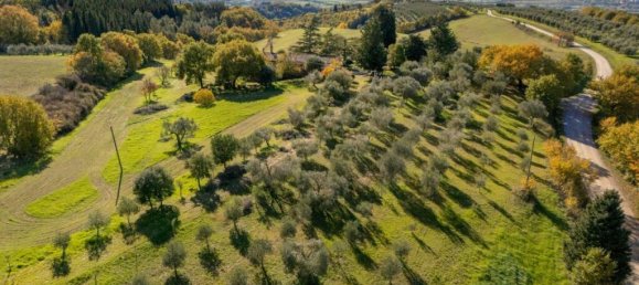 4 Schlafzimmer Haus in Monteleone d'Orvieto, Italy, Nr. 53461 10