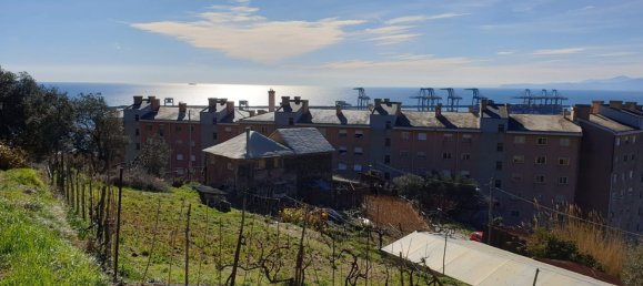 7-Zimmer Haus in Genoa, Italy, Nr. 271853 39