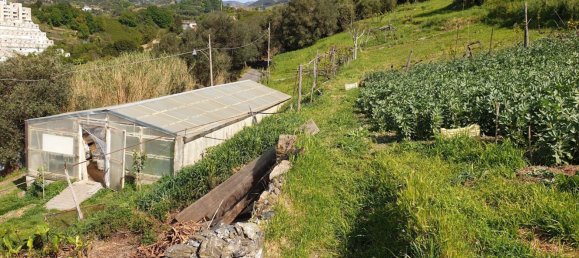 7-Zimmer Haus in Genoa, Italy, Nr. 271853 33