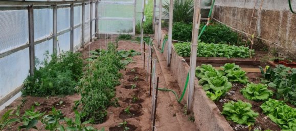 7-Zimmer Haus in Genoa, Italy, Nr. 271853 32