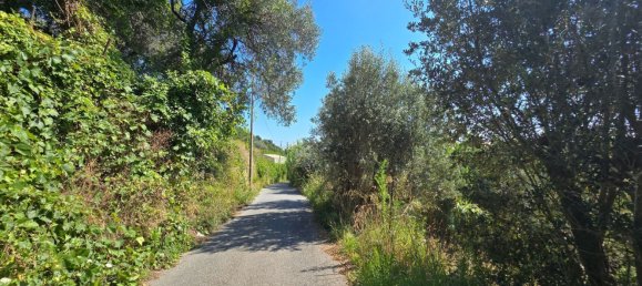 7-Zimmer Haus in Genoa, Italy, Nr. 271853 4